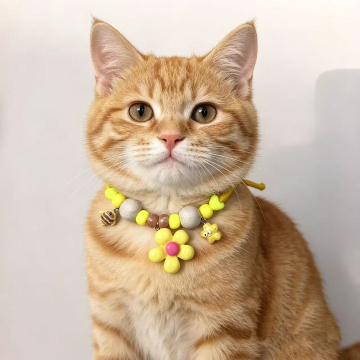 Pet deworming collar