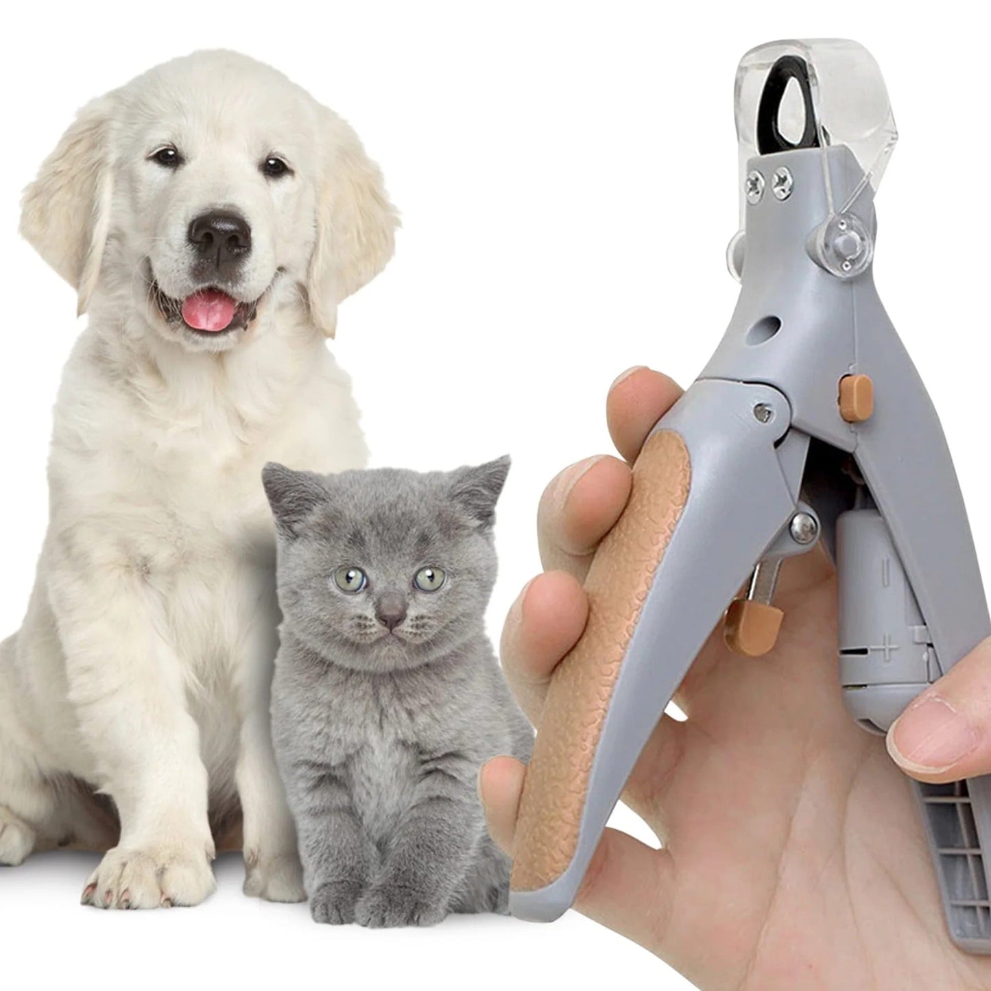 Safe Grooming for Pet
