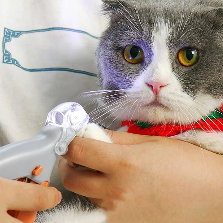 Safe Grooming for Pet