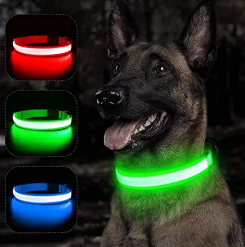 Electronic Pet LED Dog Collar