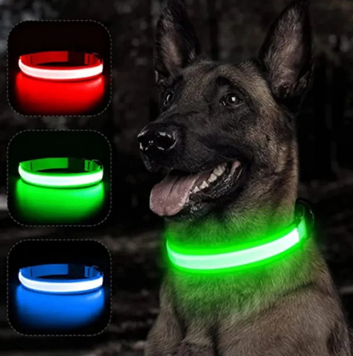 Electronic Pet LED Dog Collar