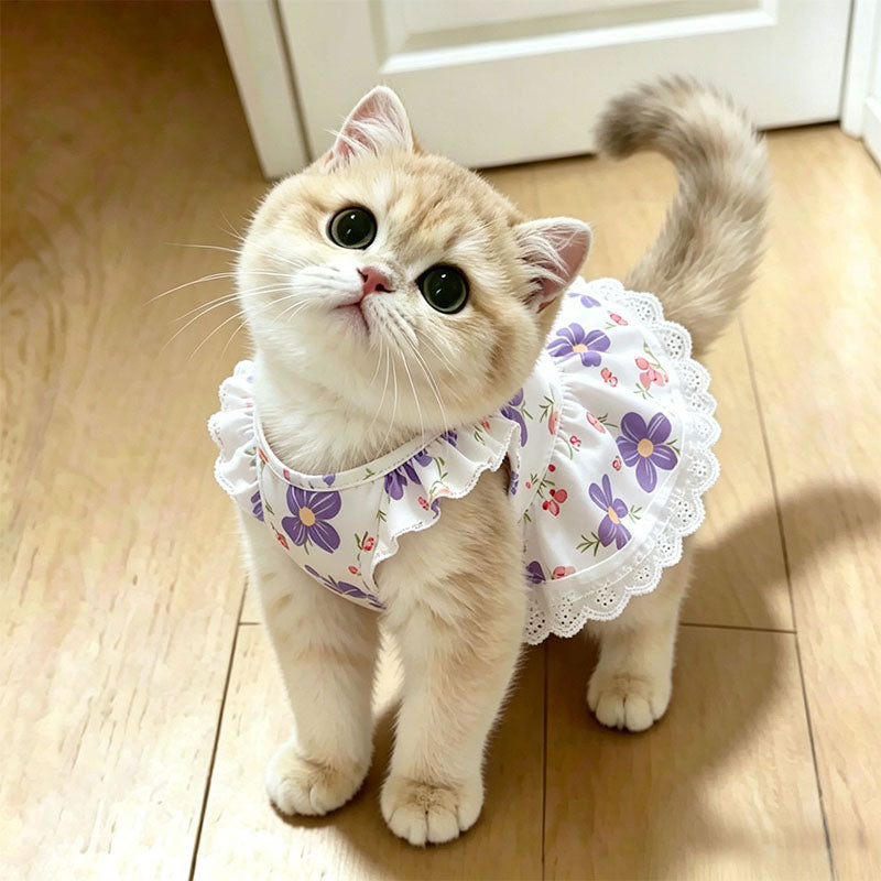 Floral Lace Pet Dress with Flutter Sleeves