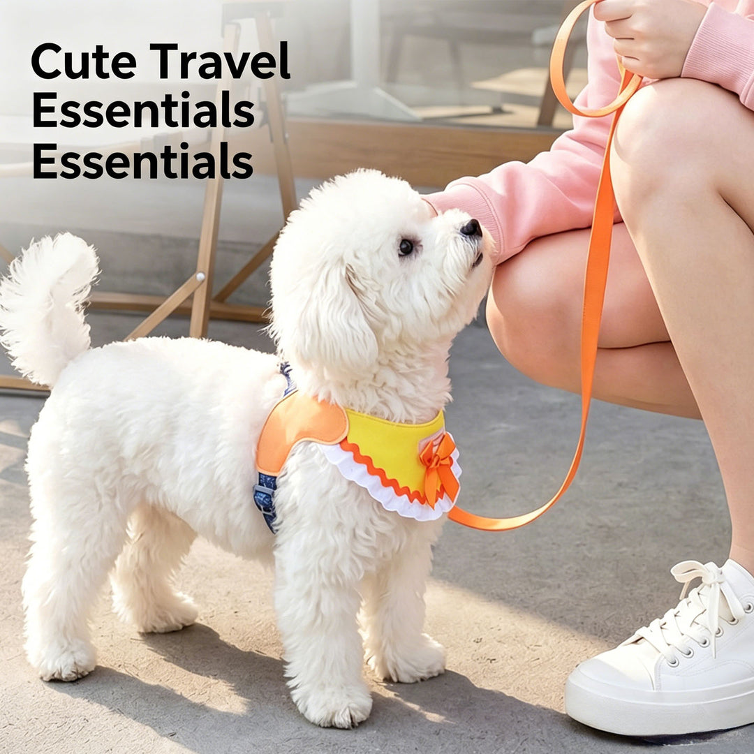 Small Dog Harness Set