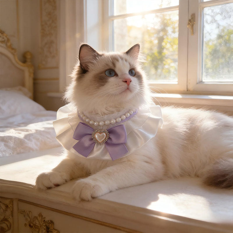 Cute Cream-Colored Bow Pet Collar
