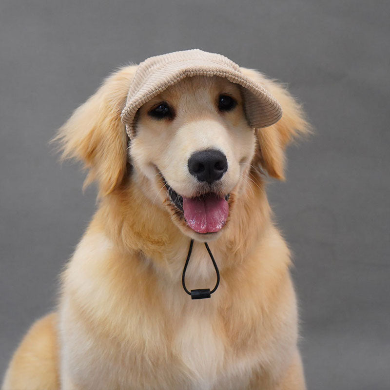Dog Sun-Shade Baseball Cap