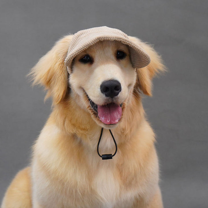 Dog Sun-Shade Baseball Cap