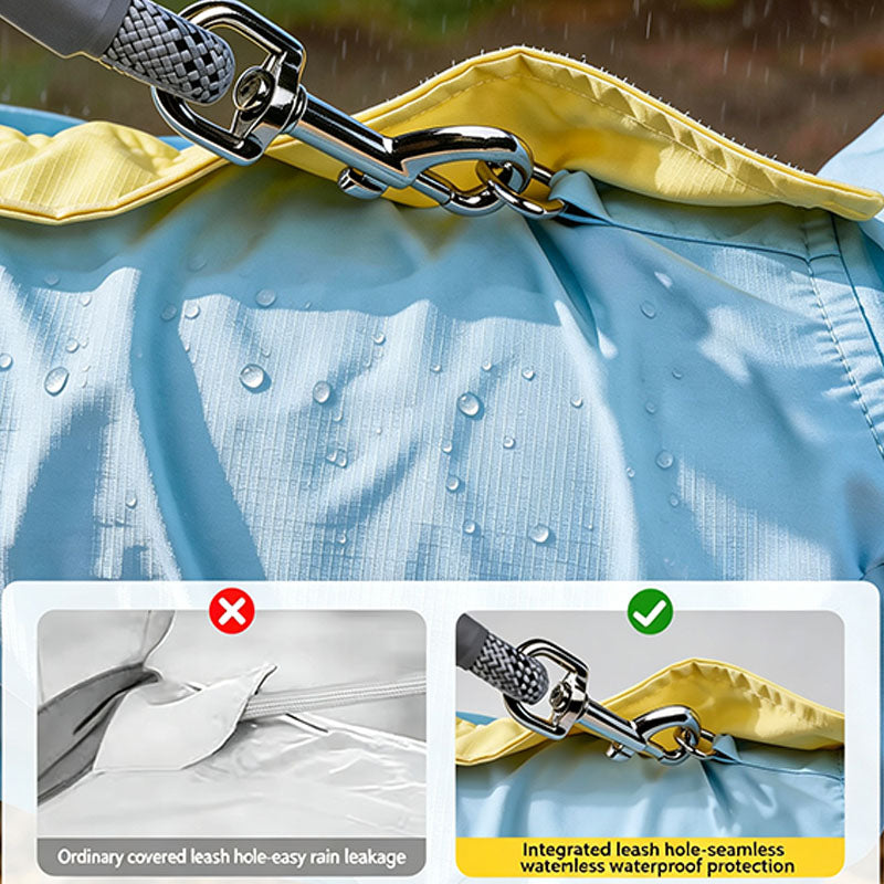 Full-coverage dog raincoat