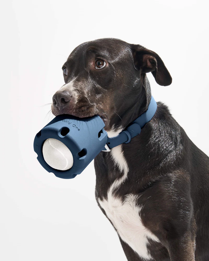 Pet Toy: Tennis Tumbling